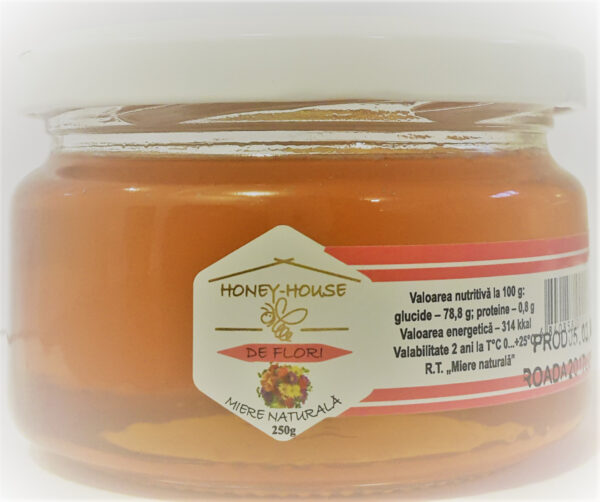 Honey Honey-House - Image 5